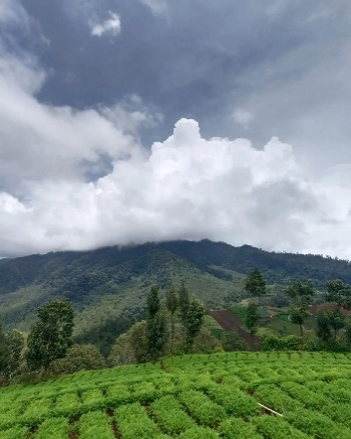 Sehari Menjelajah Batu: Harmoni Alam, Kuliner, dan Agrowisata Kota Batu