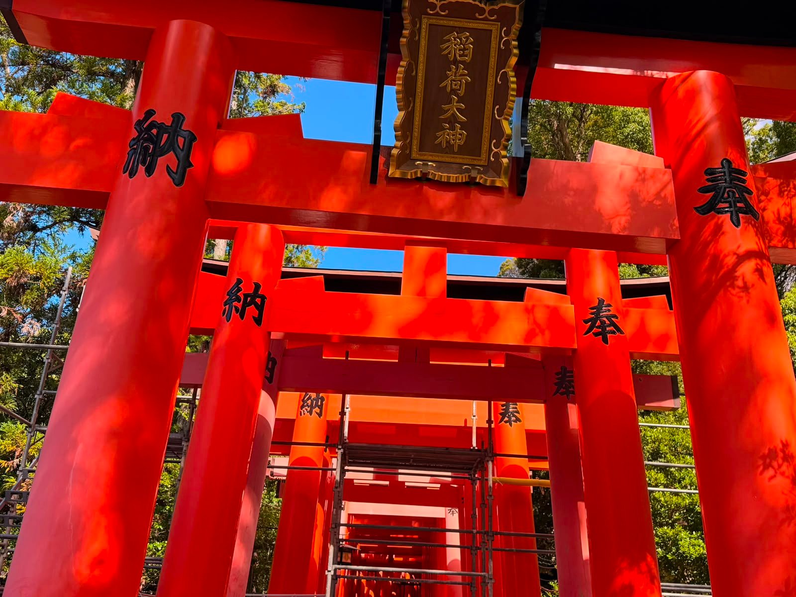 Deretan gerbang Senbon Torii merah di Fushimi Inari Taisha Kyoto