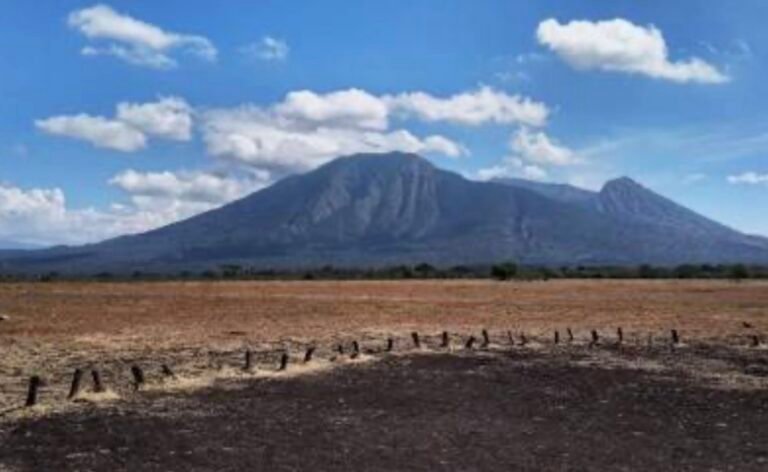 Cuaca Kering Jawa Timur, BMKG Waspadai Karhutla Bromo
