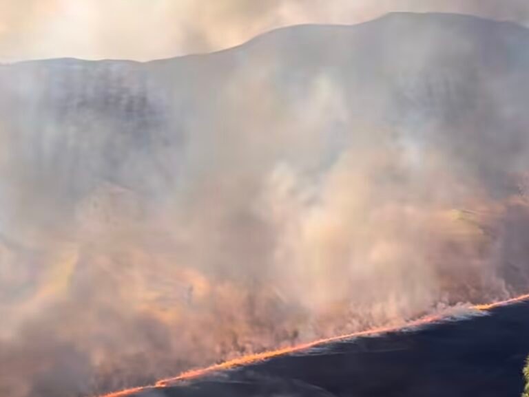 Kebakaran Hutan dan Lahan TNBTS Menjalar ke Area Bromo Hillside
