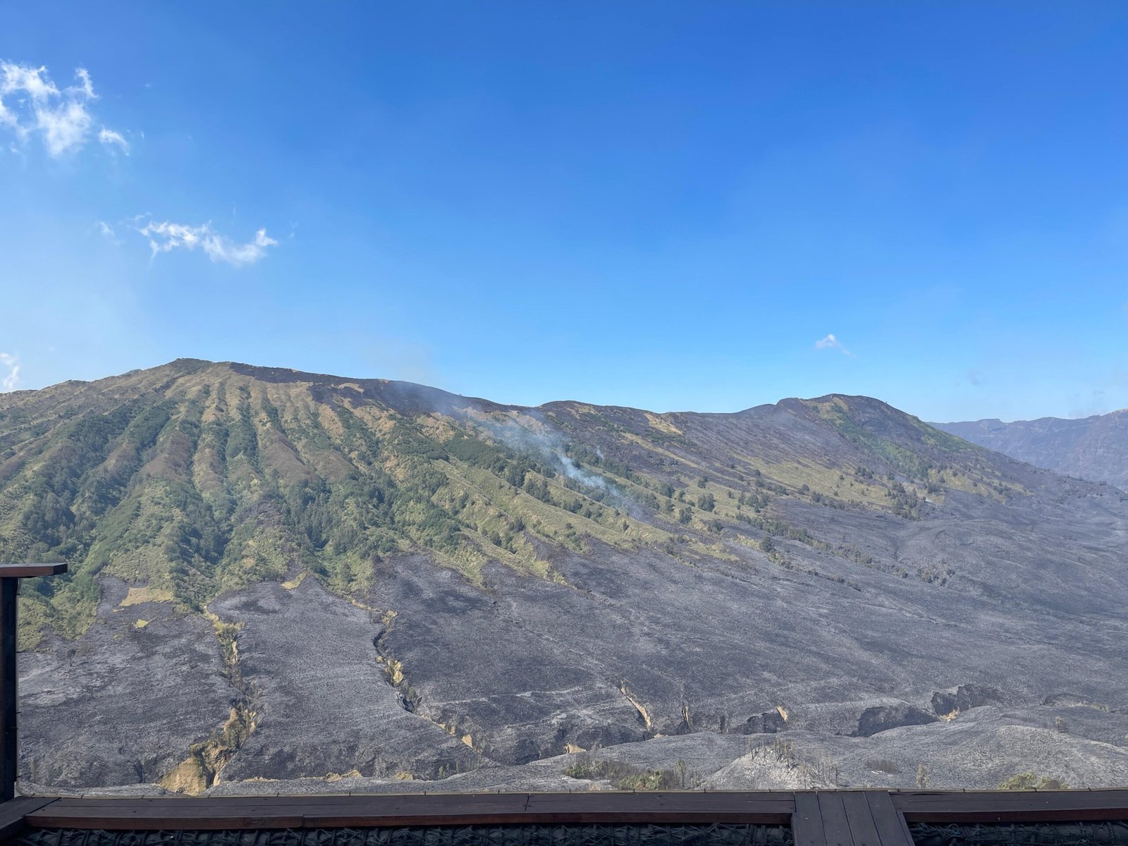 Karhutla kawasan Bromo Hills TNBTS/Doc:FolksNews.id