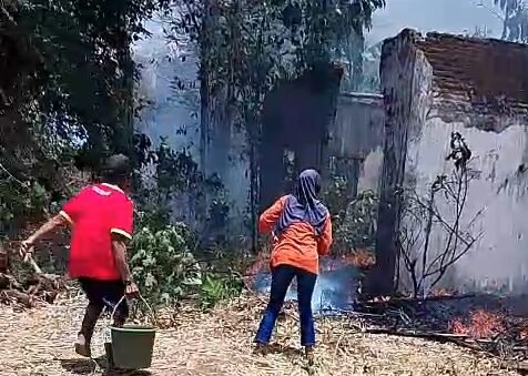 Kebakaran Lahan Terjadi di Panggungrejo Kepanjen, BPBD Kerahkan Tangki Pemadam