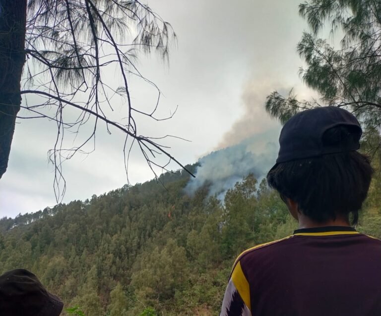 Karhutla Gunung Kawi Capai 292 Hektare, Ilaran 2 Km Disiapkan