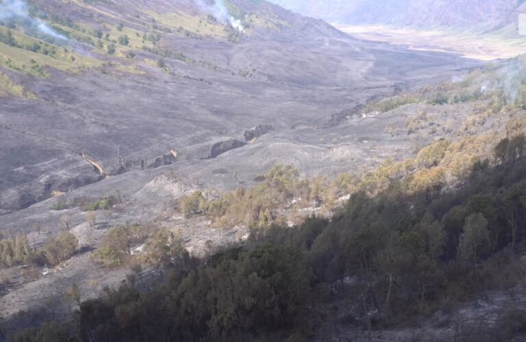 Kebakaran wilayah Bromo